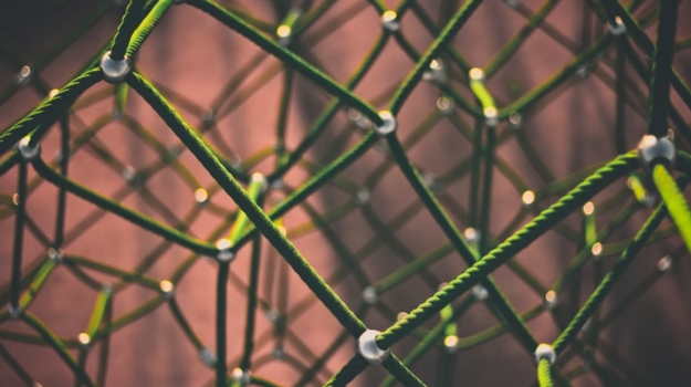 Industry Network